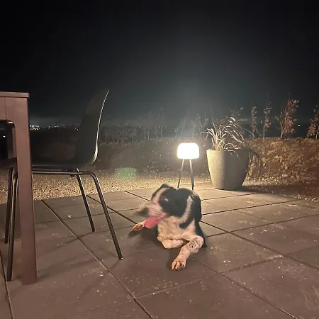 The 9 Acre Chalet Midleton