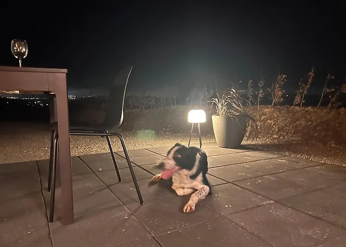 The 9 Acre 木屋 米德尔顿