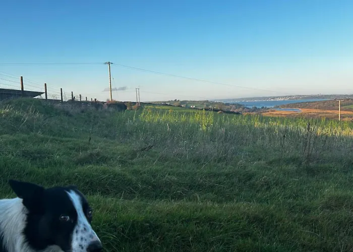 The 9 Acre